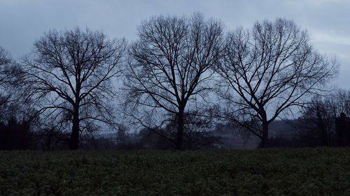 Trees on field against sky