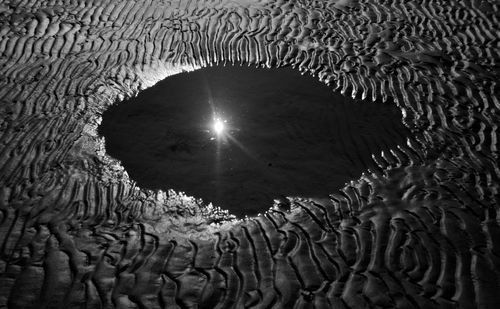 High angle view of jellyfish swimming in sea