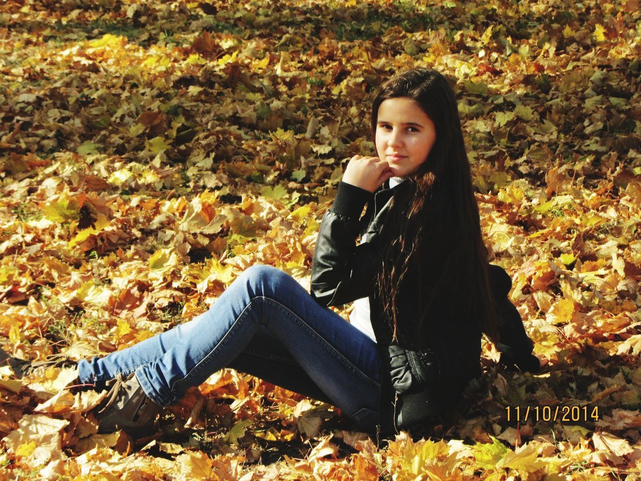 person, lifestyles, young adult, casual clothing, looking at camera, portrait, leisure activity, young women, autumn, smiling, sitting, front view, standing, leaf, field, happiness, waist up, change