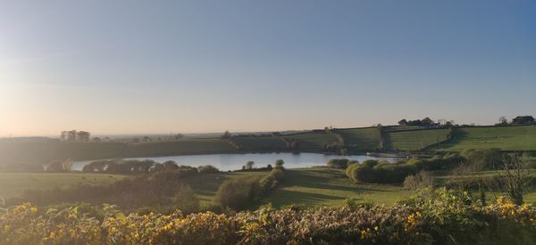 Scenic view of agricultural field against clear sky