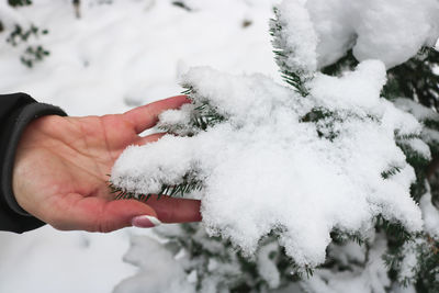 Cropped image of snow covered field