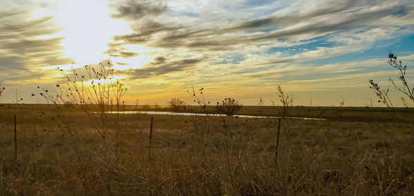 Scenic view of field against sky during sunset