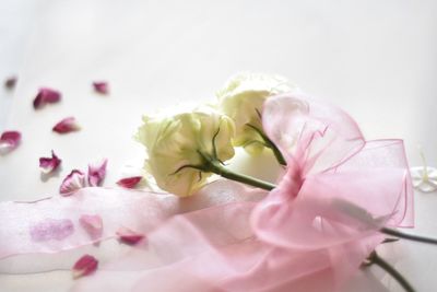 Close-up of rose bouquet