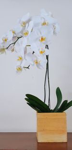 Close-up of white flowers in vase on table at home