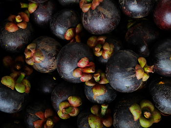 Full frame shot of blueberries
