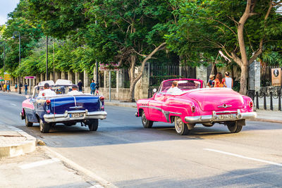 Cars on road against trees in city