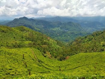 Scenic view of green landscape against sky