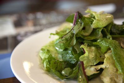 Close-up of salad served in plate on table