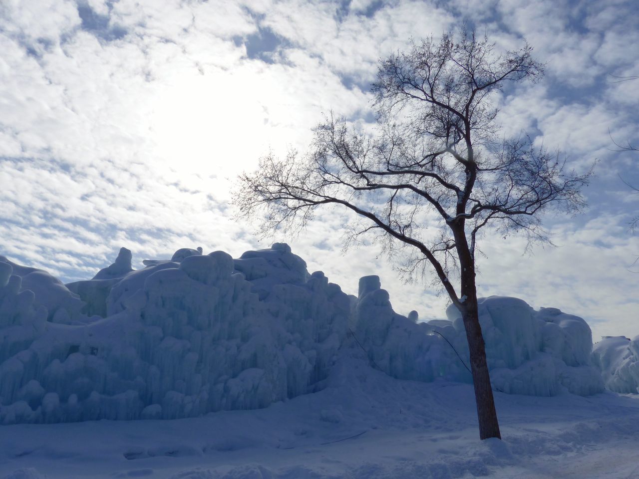 winter, cold temperature, snow, weather, nature, beauty in nature, ice, sky, frozen, scenics, tranquility, bare tree, no people, outdoors, landscape, tree, day, iceberg