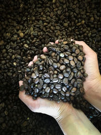 High angle view of hand holding coffee beans