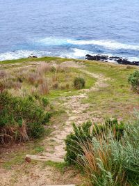 Scenic view of sea