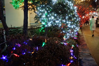 Illuminated christmas tree at night