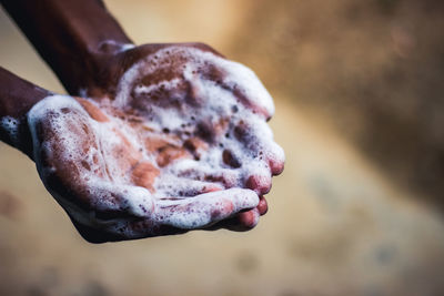 Close-up of hand holding leaf