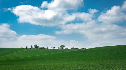 Scenic view of meadow with trees against sky