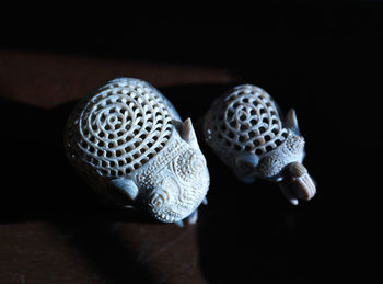 macro photography