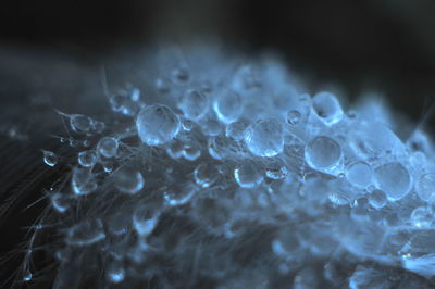 Close-up of wet bubbles