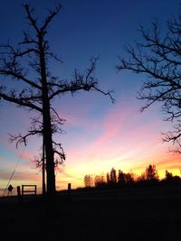 Silhouette trees on field against sky at sunset