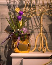 Close-up of purple flower in pot