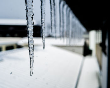 Close-up of icicles on metal during winter