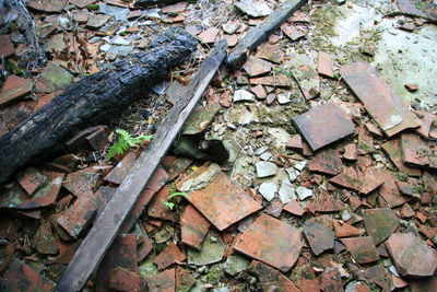 Old rusty door