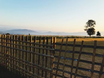 Wooden posts on field against clear sky