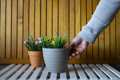 Midsection of woman holding potted plant