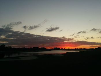 Silhouette of trees at sunset