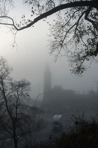 Silhouette of trees and buildings in city