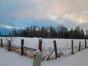 Scenic view of snow covered field