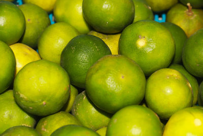 Full frame shot of oranges