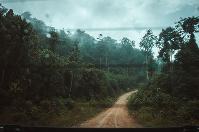 Scenic view of forest against sky