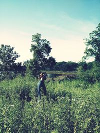 Rear view of man standing on grassy field