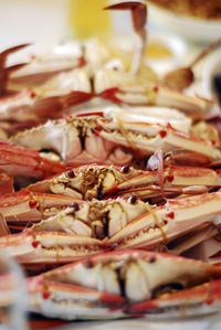 There are some delicious seafood crabs just steamed on the table