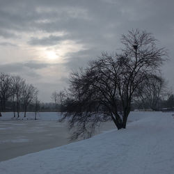 Bare trees on snow covered landscape