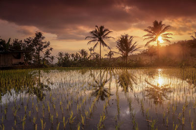 Scenic view of lake against sky during sunset