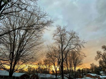 Low angle view of bare trees against sky during sunset