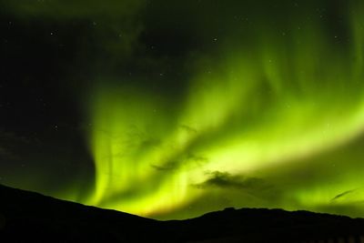 Scenic view of aurora borealis at night