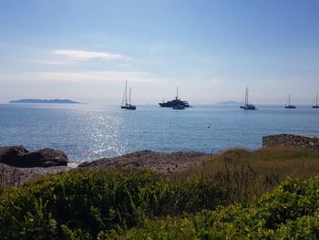 Sailboats sailing in sea against sky