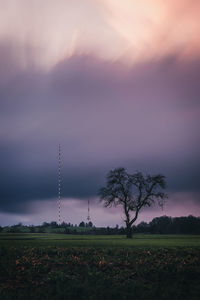 Silhouette trees on field against sky during sunset