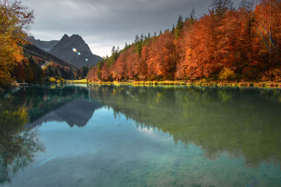 Scenic view of lake by trees during autumn