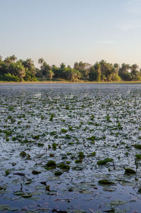 Scenic view of lake against clear sky