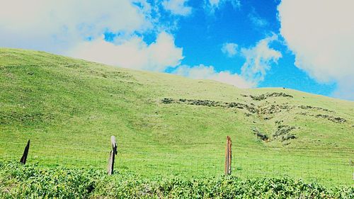 Scenic view of agricultural field against sky