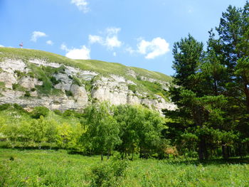 Trees on landscape against sky