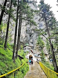People walking on footpath amidst trees