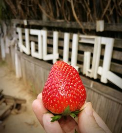 Close-up of hand holding strawberry