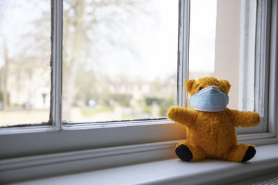 Teddy bear on window at home