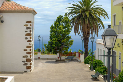 View of a square with trees and in the background the ocean