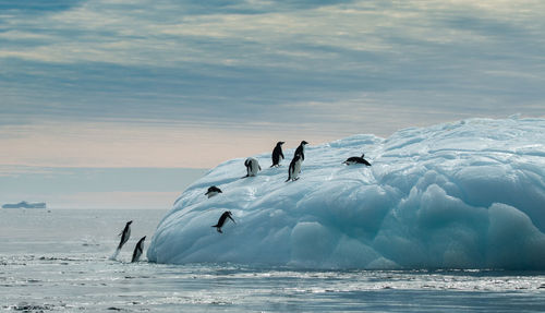 People on frozen sea against sky