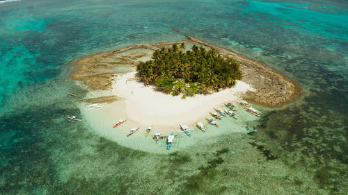 Guyam island with beautiful beach, palm trees. siargao, philippines.