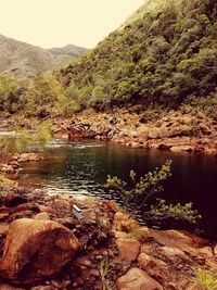 Scenic view of lake in forest against clear sky